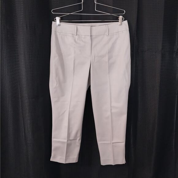 ANN TAYLOR FACTORY! PALEST GRAY CROPPED, RELAXED NOTCHED ANKLE PANTS! SZ 10P - Picture 4 of 10